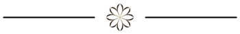 ornement_site_2026_elixir_noirs_1_demi